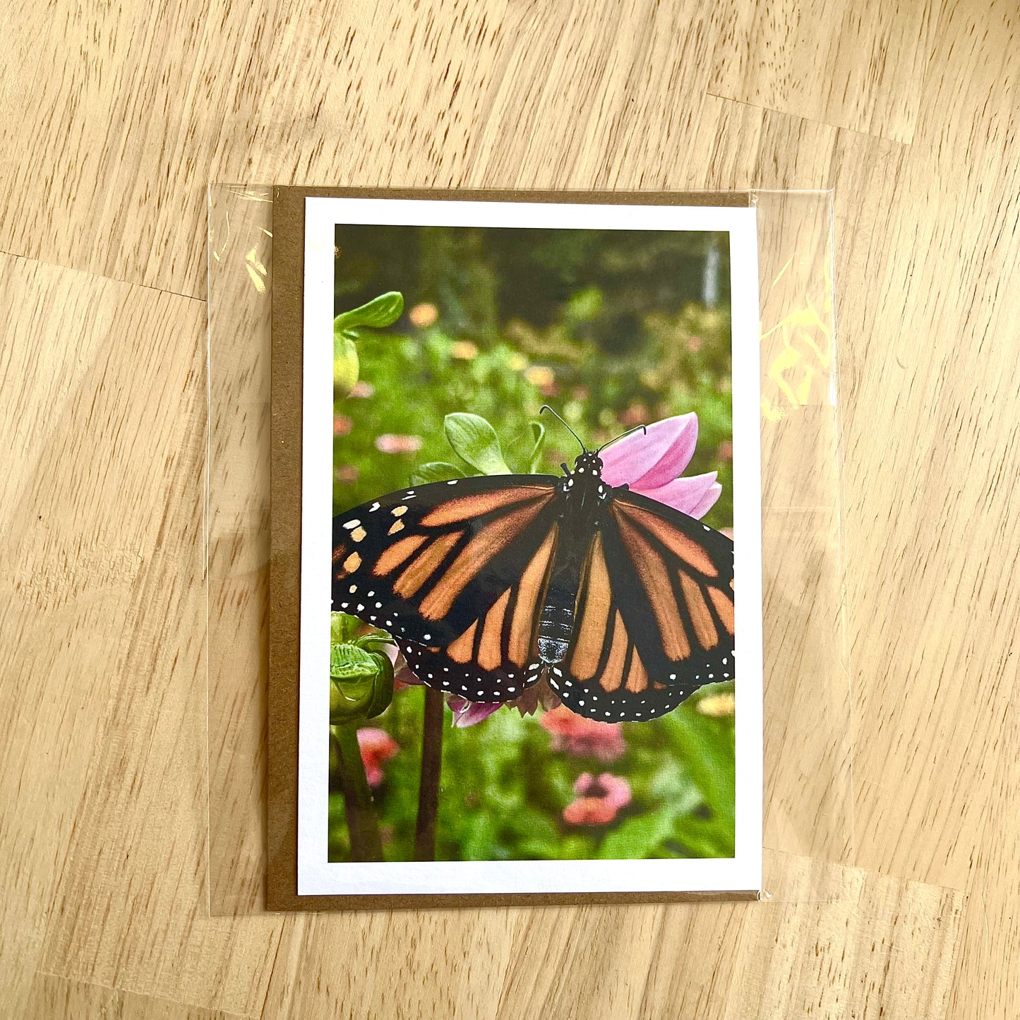 Monarch Butterfly Greeting Card