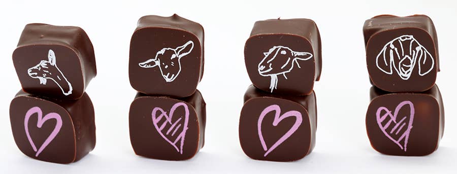 Chocolate Covered Goat Milk Caramel with Hearts (Valentine): 6 piece