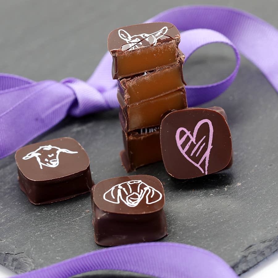 Chocolate Covered Goat Milk Caramel with Hearts (Valentine): 6 piece