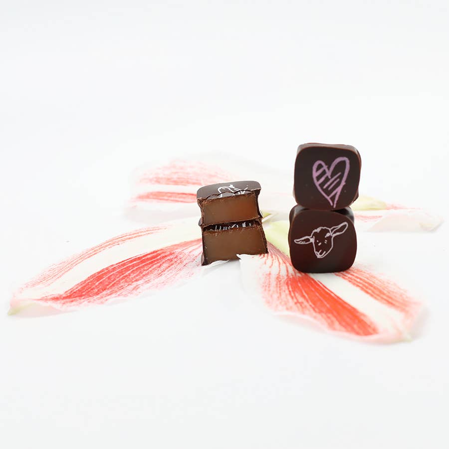 Chocolate Covered Goat Milk Caramel with Hearts (Valentine): 6 piece