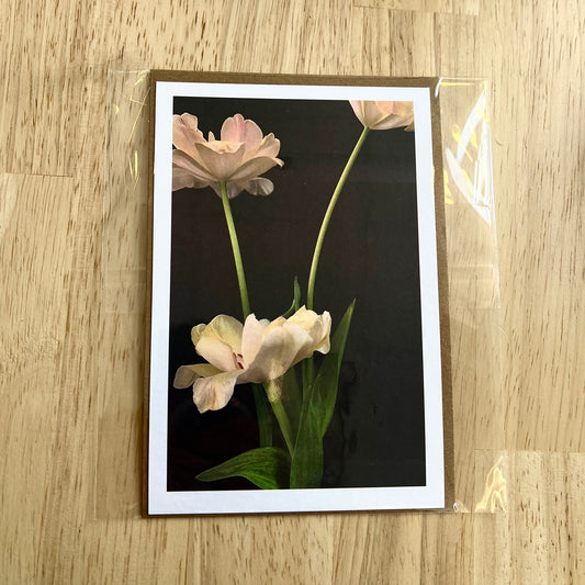 Flowers Greeting Card