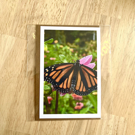 Monarch Butterfly Greeting Card