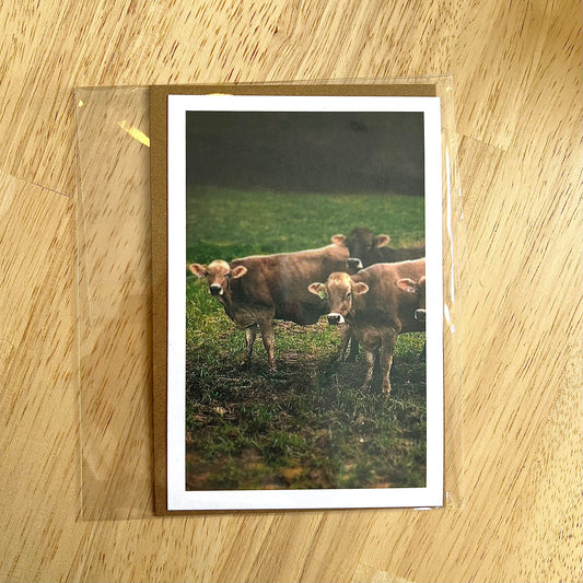 The Herd Greeting Card
